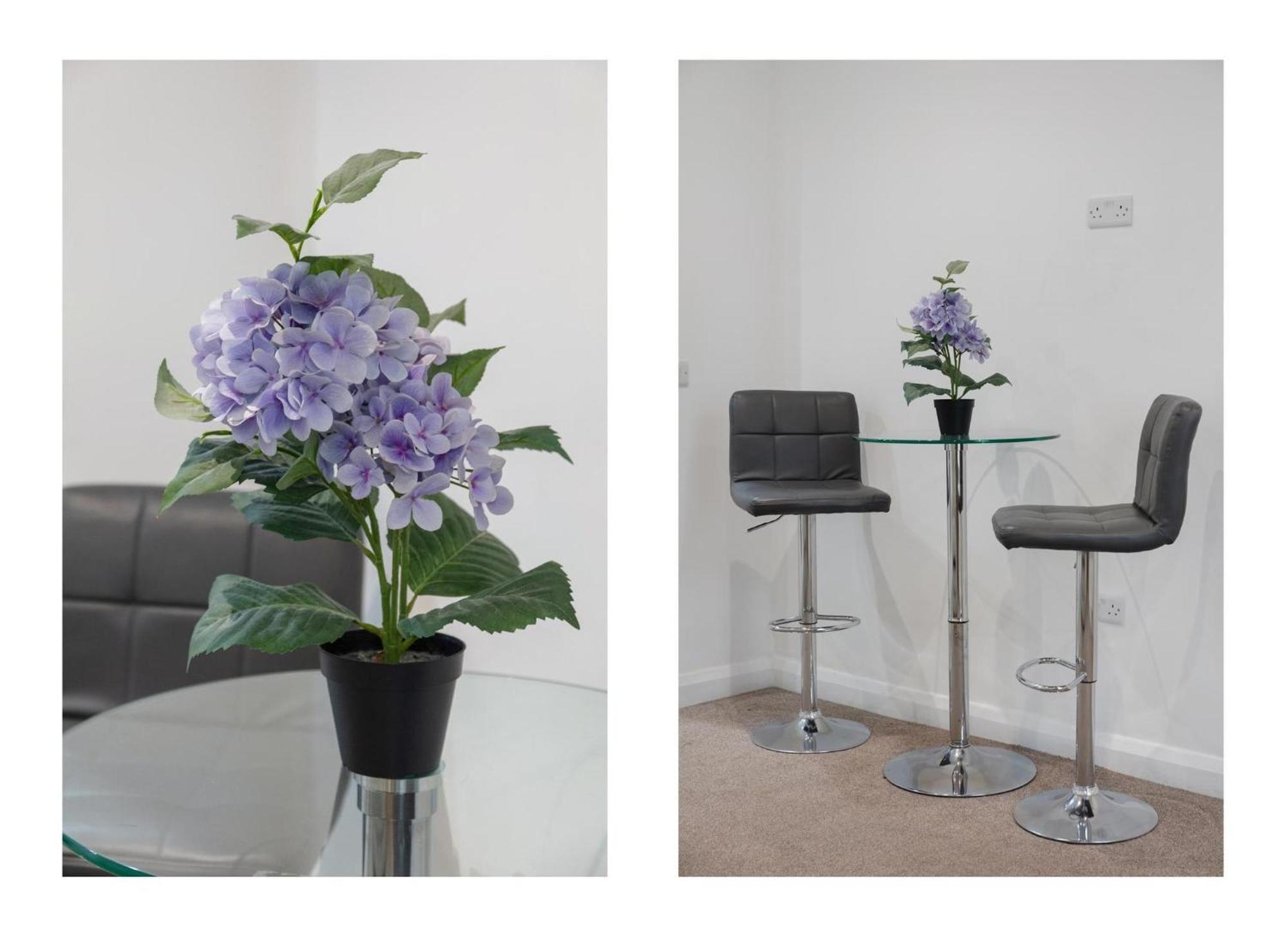 Central And Modern One Bedroom Flat Oxford Extérieur photo